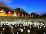 #4 Magic Photo Mug - Summer in Longyearbyen
